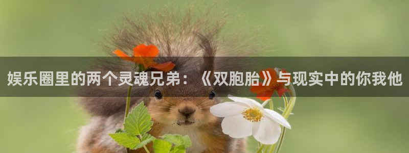 赢咖二app下载：娱乐圈里的两个灵魂兄弟：《双胞胎》与现实中的你我他