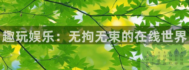 赢咖4注册