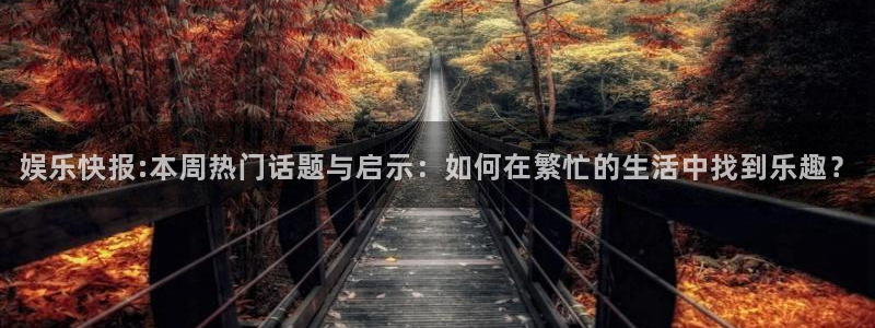 赢咖代理