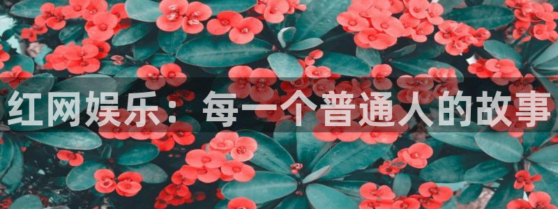 赢咖2平台：红网娱乐：每一个普通人的故事