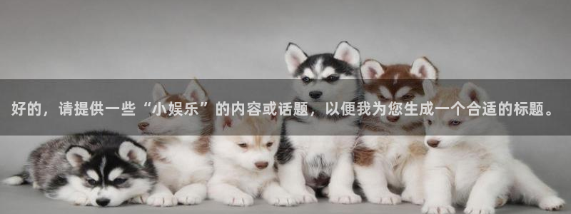 赢咖官网：好的，请提供一些“小娱乐”的内容或话题，以便我为您生成一个合适的标题。