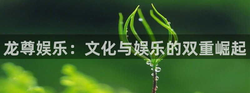 upload/20250701114914.jpg