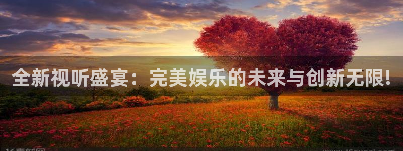 赢咖5盛煌平台官网：全新视听盛宴：完美娱乐的未来与创新无限!
