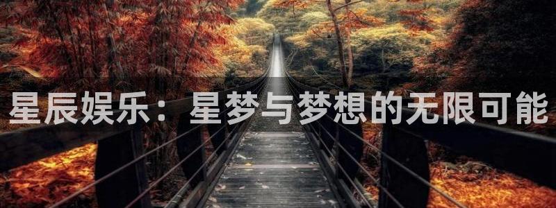 赢咖3：星辰娱乐：星梦与梦想的无限可能